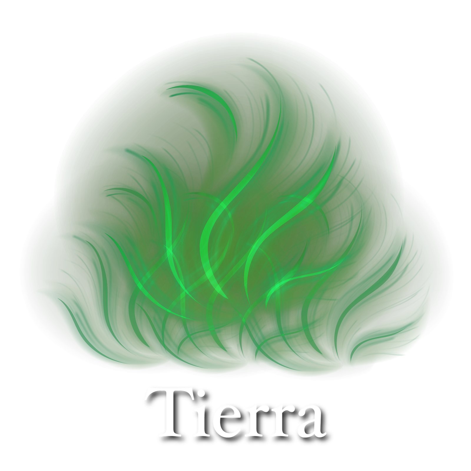 Tierra Tierra