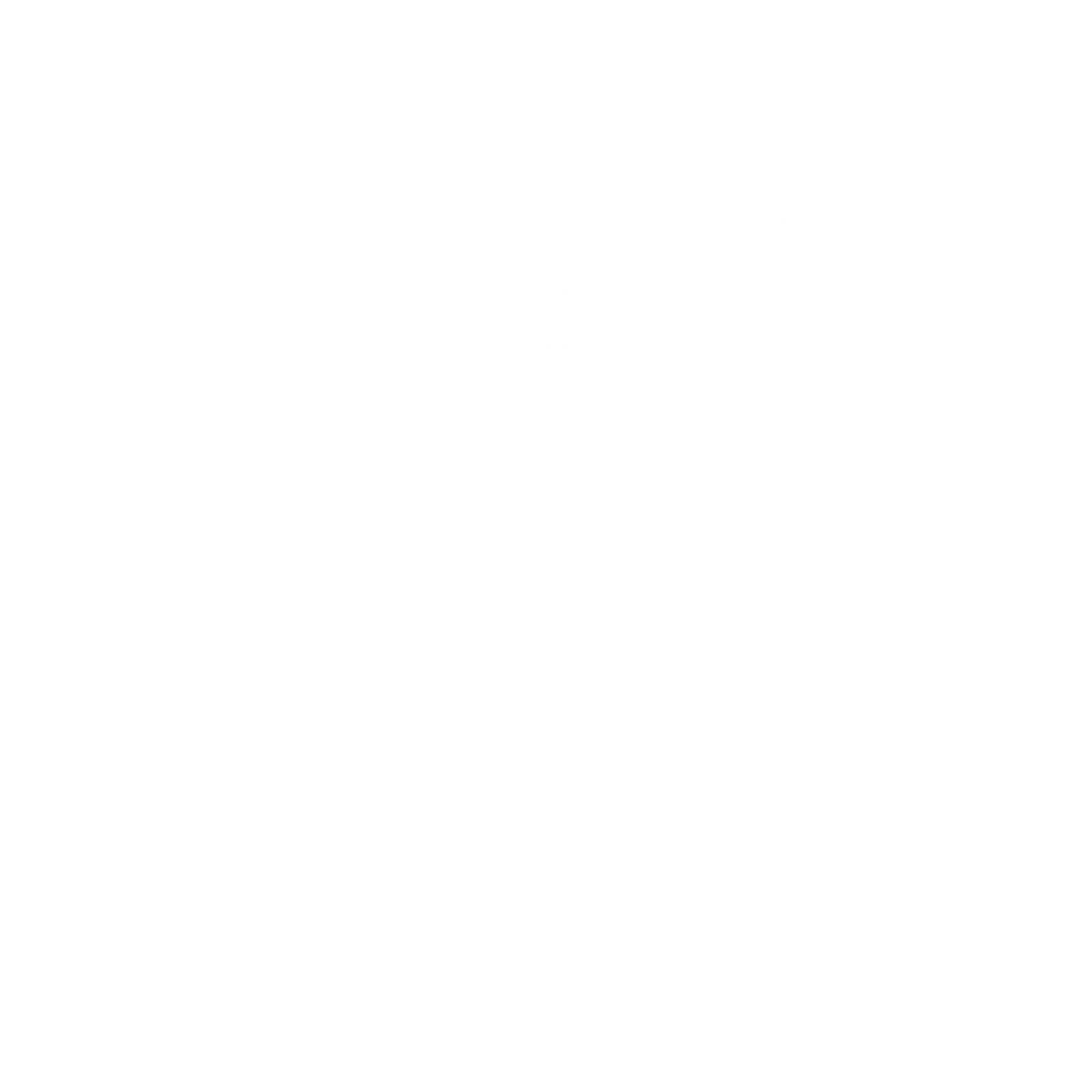 Geminis Geminis